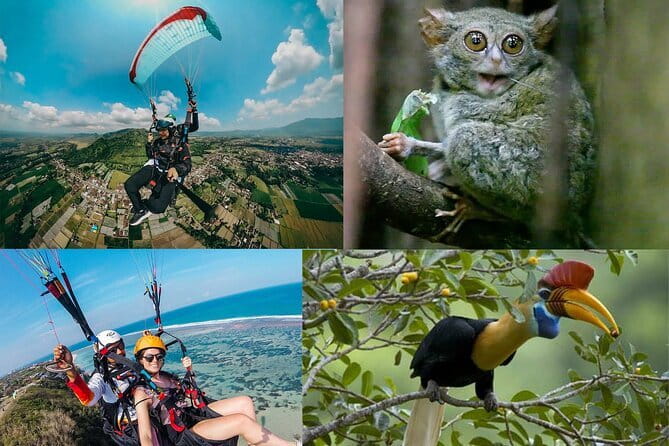 Tangkoko Bitung Manado Nature Tourism Park includes lunch. - More than tarsiers: black macaques and other endemic sightings