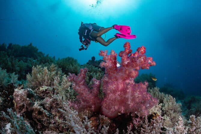 Tangkoko Bitung Manado Nature Tourism Park includes lunch. - Price and value: is $97 per person fair?