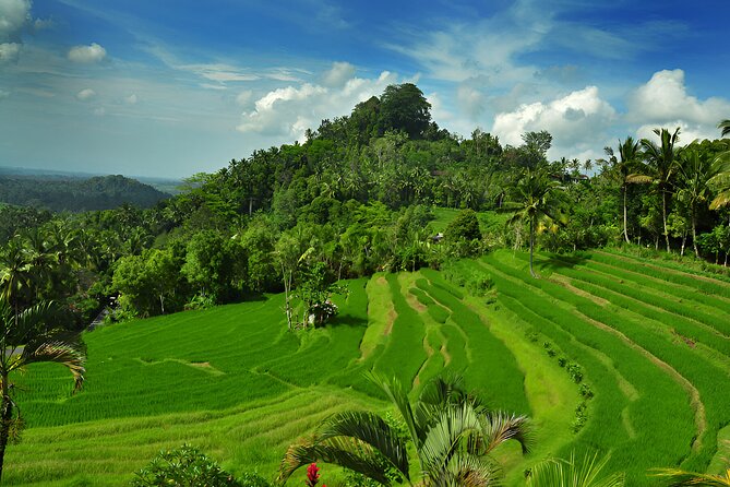 Telaga Waja White Water Rafting and Besakih Temple Tour - Bukit Jambul Rice Terraces: Valley, Harbor, and Beach Views