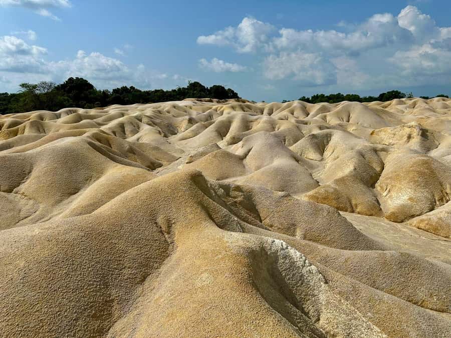 Teluk Sebong: Bintan Desert and Blue Lake Trip - Owl photo moment: quick, playful, and easy