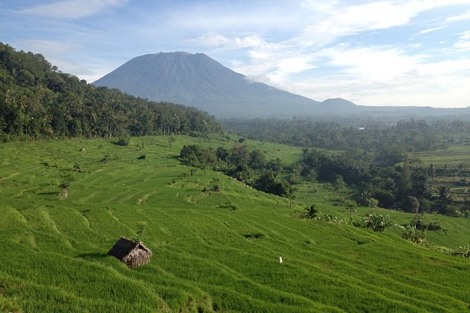Tenganan Village Rice Field Trekking Tour - Rice terraces in East Bali, plus a real village stop