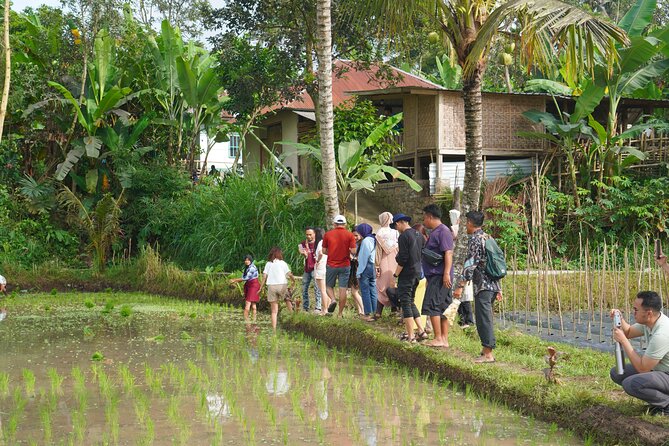 Tete Batu Tour (Culture, Rice Terraces and Waterfalls) - Coffee processing, coconut oil, and spices: take home something real