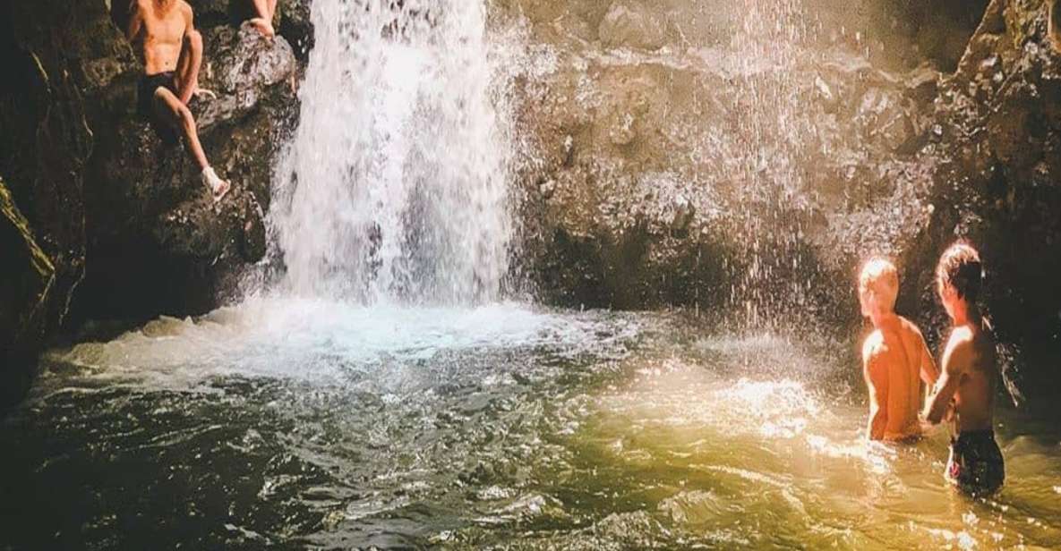 Tetebatu: Rice Fields, Waterfall, & Monkey Forest Day Tour - Waterfall Time: Bring a Swimsuit and Expect a Wet Adventure
