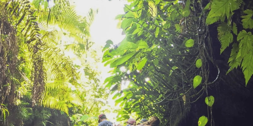 Tetebatu: Rice Fields, Waterfall, & Monkey Forest Day Tour - Meeting Your Team: English Guides and the Pace You’ll Feel