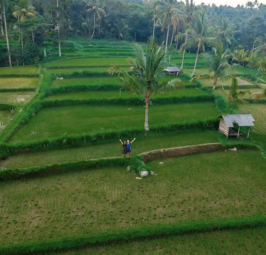 Tetebatu : Walk on Rice Terrace, Waterfall and Black Mongky - Tetebatu Feels Like Real Lombok, Not a Theme Park