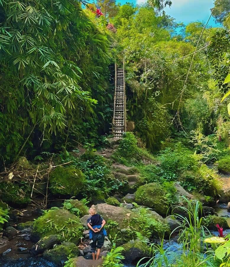 Tetebatu : Walk on Rice Terrace, Waterfall and Black Mongky - Monkey Forest: How the Black Monkeys Part Fits the Day