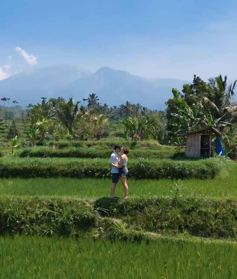 Tetebatu : Walk on Rice Terrace, Waterfall and Black Mongky - Getting Started: Pickup Options and a Meeting Point in the Fields