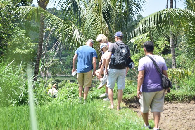 Tetebatu Walking Tour - Rice Terraces, Waterfall & Monkey Forest - Tetebatu and Lombok’s Sasak Life: More Than Just Photos