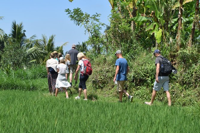 Tetebatu Walking Tour - Rice Terraces, Waterfall & Monkey Forest - Tetebatu Waterfall: A Full Hour to Enjoy the Falls Properly