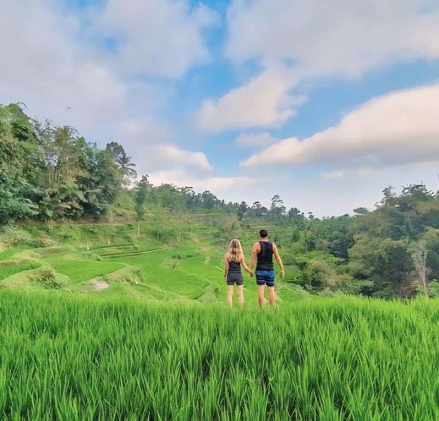 Tetebatu : Waterfall, Rice Fields & Monkey Forest Full day - Rinjani countryside stops: coffee, coconut oil, spices, and local craft