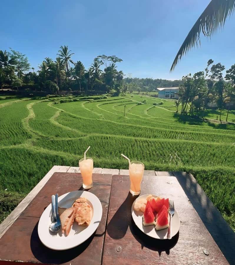Tetebatu : Waterfall, Rice Fields & Monkey Forest Full day - Lunch overlooking fields and temples