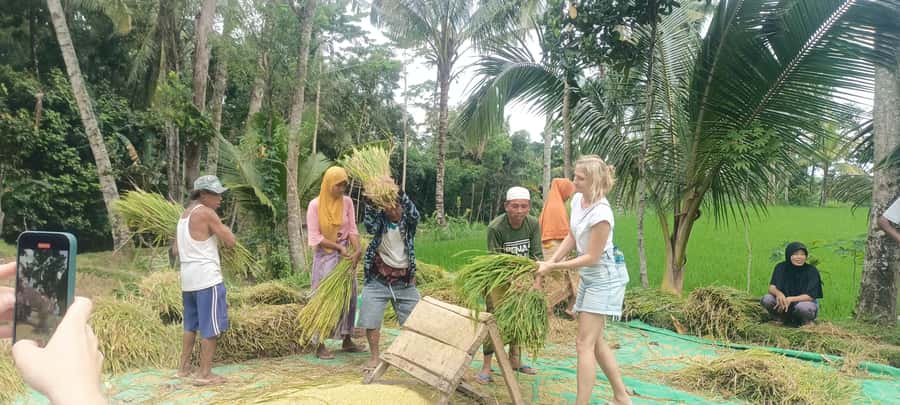 Tetebatu: Waterfalls, Spices, Rice Terrace, Monkey forest - Who should book, and who should skip this Tetebatu day