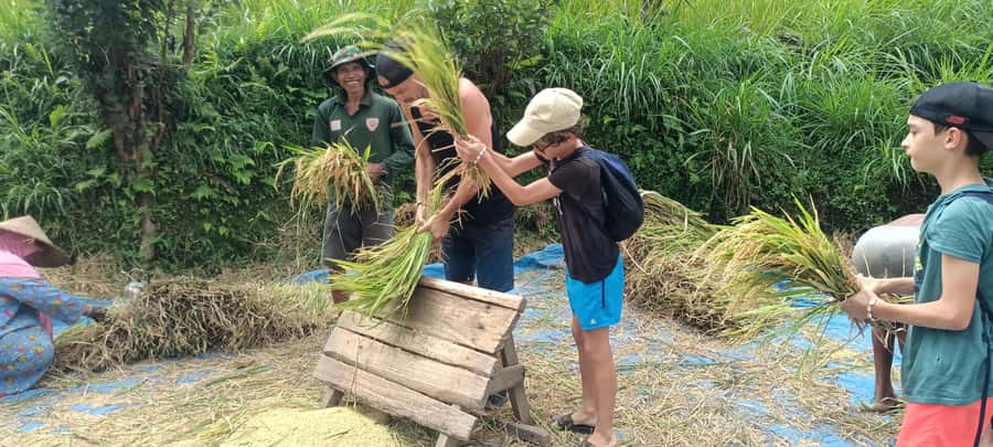 Tetebatu: Waterfalls, Spices, Rice Terrace, Monkey forest - Why Tetebatu feels more human than the big “tour circuit”