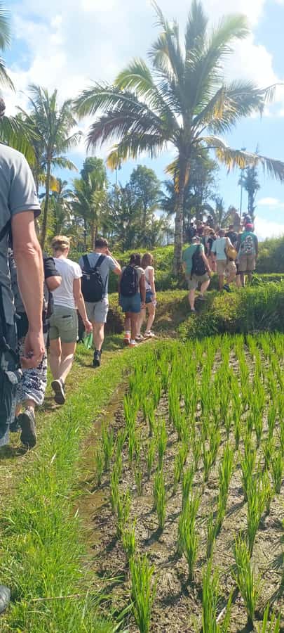 Tetebatu: Waterfalls, Spices, Rice Terrace, Monkey forest - Jungle waterfall time: how to enjoy the hike without losing your shoes