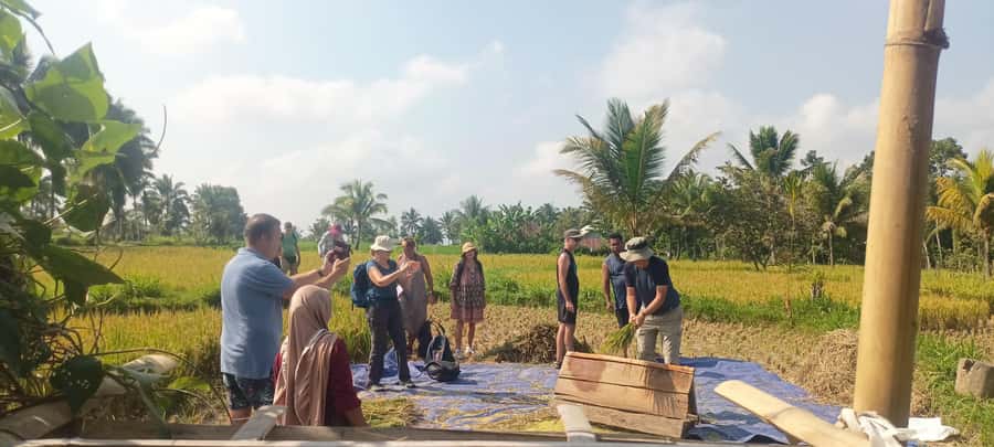 Tetebatu: Waterfalls, Spices, Rice Terrace, Monkey forest - Sacred Monkey Forest: what you’re aiming for, and how to handle the animals