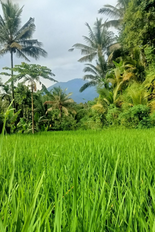 Tetebatu: Waterfalls, Spices, Rice Terrace, Monkey forest - Bamboo handicrafts village: learning by doing, not just watching