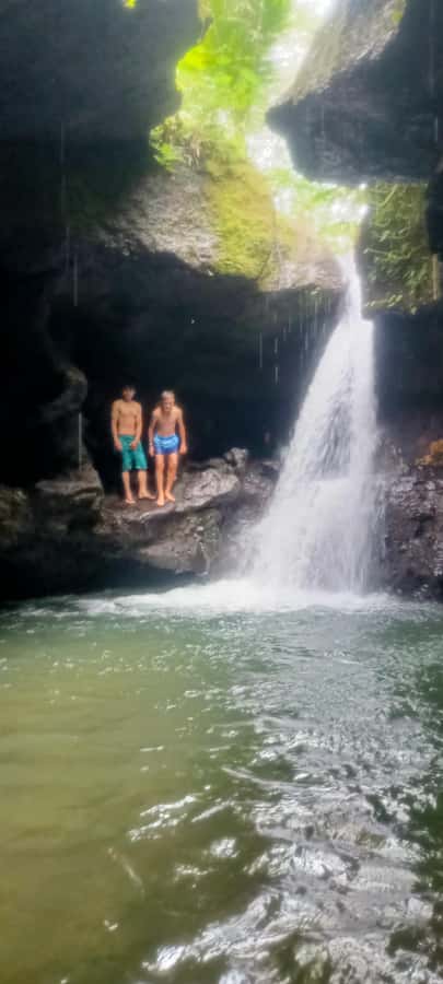 Tetebatu: Waterfalls, Spices, Rice Terrace, Monkey forest - Price, timing, and pickup: where the value really comes from