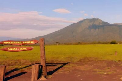 The Authentic Sunset Of Baluran National Park Banyuwangi - Bekol View Point and the evergreen forest stops: your first real “spotting game”