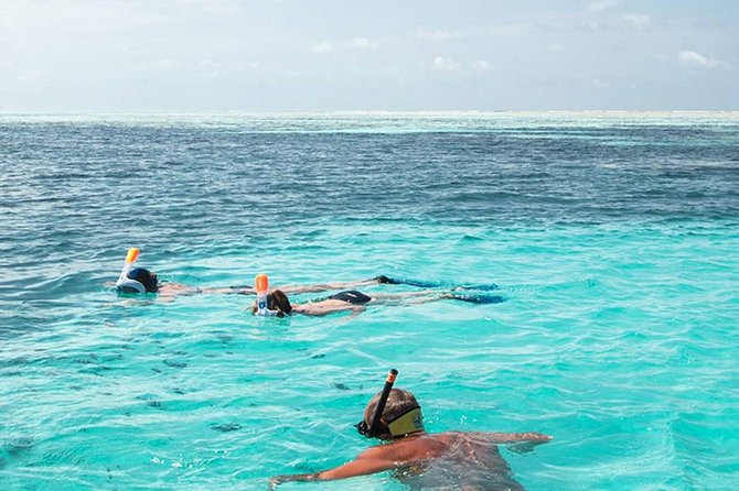 The Best 2-point Snorkeling in Padangbai: Blue lagoon and Tanjung jepun - Key things I’d note before you go