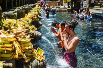 The Best of Ubud Tour and Jungle Swing - Sacred Monkey Forest Sanctuary: plan for rules, not chaos