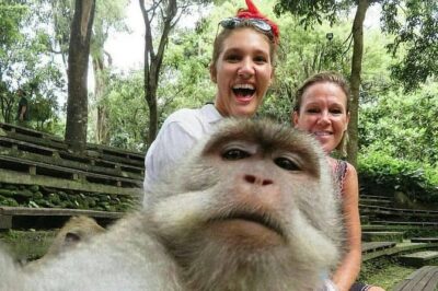 The Best Places to Explore Bali For 2 Days - Day 1: Barong & Kris Dance to Tirta Empul Spring Water