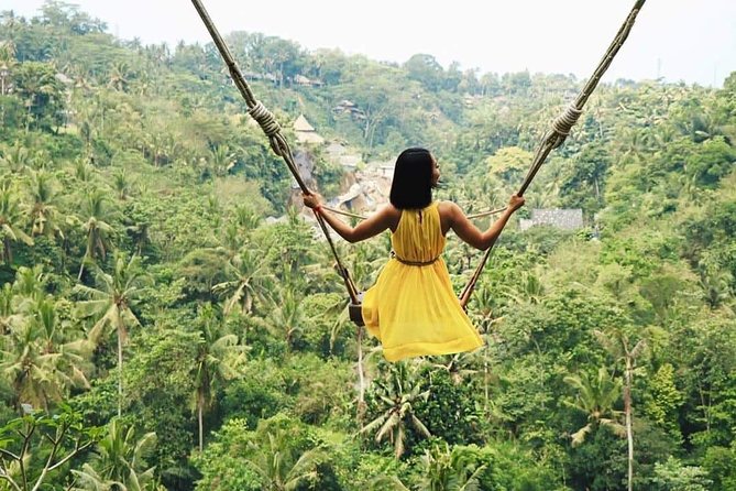 The Gates of Heavan - Ubud Jungle Swing & Waterfall Tour - Price and logistics: where $33 feels fair (and where you must plan)