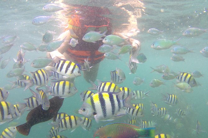 The Southwest Secret Gilis: Gili Nanggu, Gili Sudak, & Gili Kedis - Key Points You’ll Actually Care About