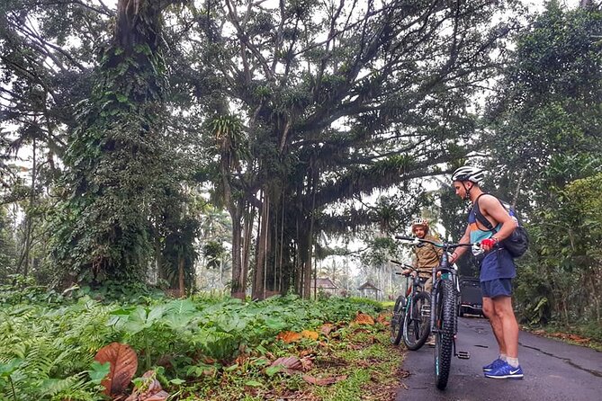 The Volcano Trail - From Seminyak to the volcano core: the early transfer you feel