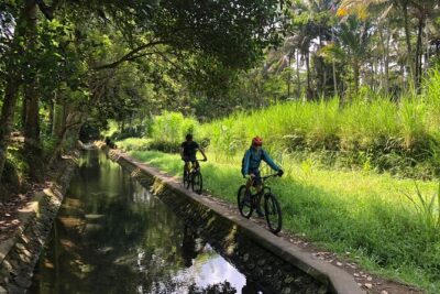 The Volcano Trail - Downhill first, rice-paddy second: what the 7 to 8 hours really includes