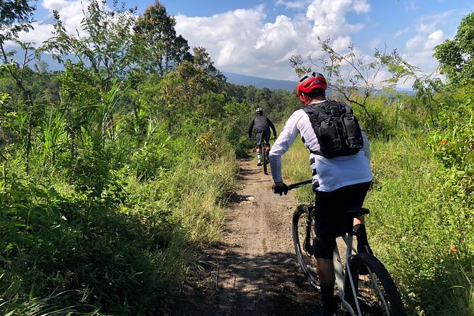 The Volcano Trail - Price and value for $90 in Bali