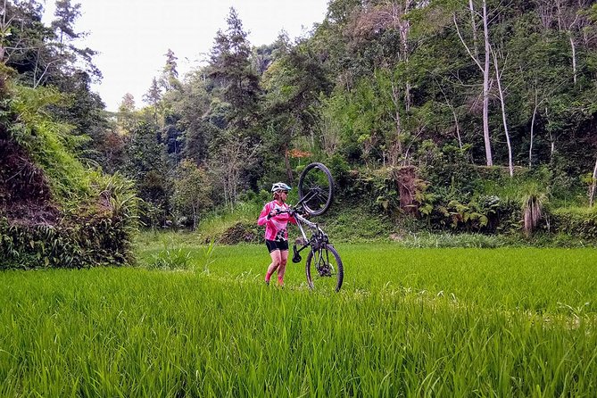 The Volcano Trail - Should you book the Volcano Trail? My call