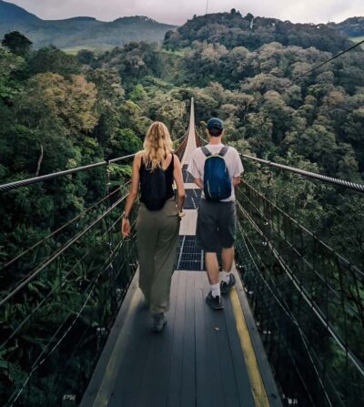 The White Crater, Lake, Suspension Bridge, & Hotspring Tour - Tea gardens near Bandung: walking time beats roadside photos