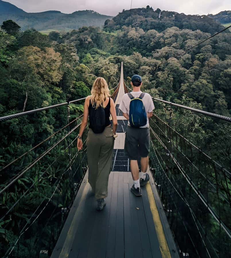 The White Crater, Lake, Suspension Bridge, & Hotspring Tour - Tea gardens near Bandung: walking time beats roadside photos