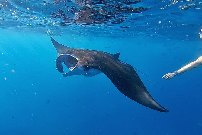 Three Islands Snorkeling (3 Spots) Manta Rays - From Lembongan - What the boat and gear feel like in practice