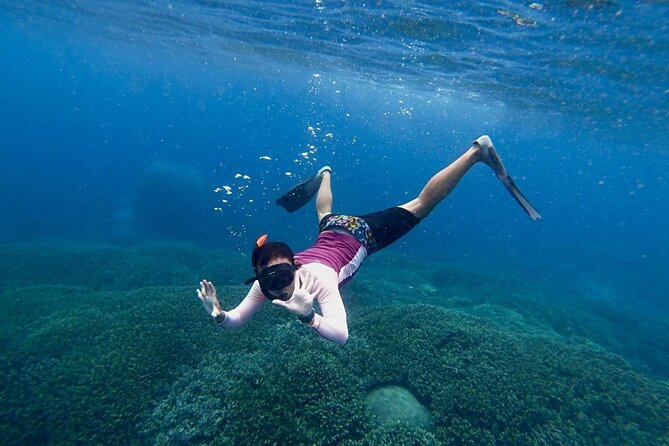 Three Islands Snorkeling (3 Spots) Manta Rays - From Lembongan - Group size and comfort: the one caution worth listening to