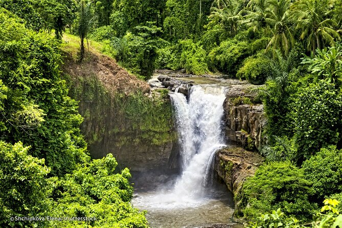 Three Main spot Bali Waterfall with Swing - Ubud Jungle Swing: budgeting the extra fee for big views