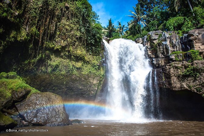 Three Main spot Bali Waterfall with Swing - Price and logistics: what $46 buys you (and what it doesn’t)