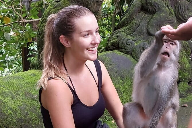 Tickets inclusive: Blessing Bali Tour - Kintamani highlands: volcano views and time to eat at your pace