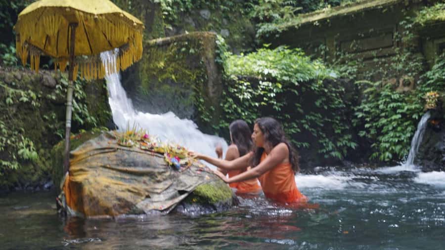Tirta Empul Holy Water & Palm Reading – Private Tour - The “private” factor: how your guide can shape the quality
