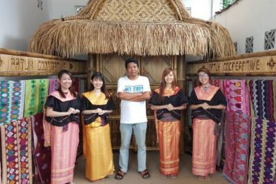 Tour for Cruise Ship Passenger - Getting from Gili Mas Port: pickup, timing, and comfort