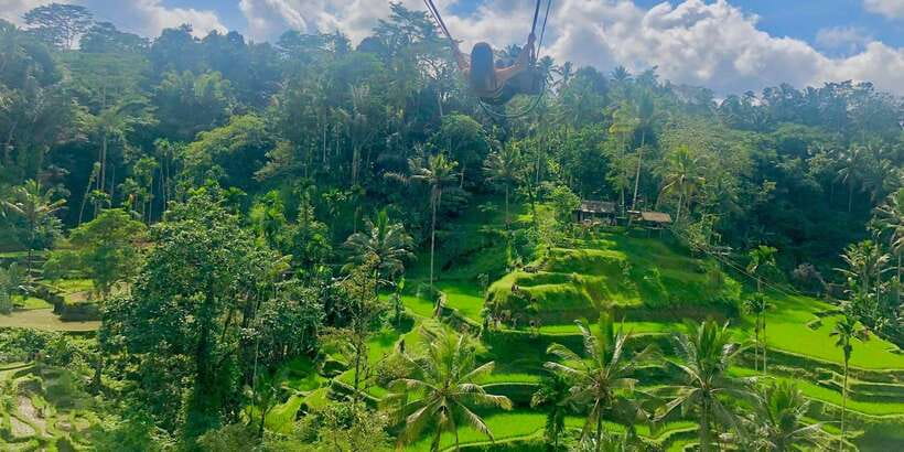 Tour full day ubud, water fall,coffe atv,and rice paddy - Key Highlights You’ll Actually Feel on the Day