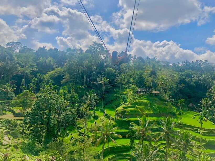 Tour full day ubud, water fall,coffe atv,and rice paddy - Rice Paddy Photos and the Swing: The Classic Ending