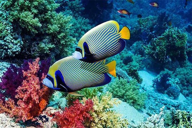 Tour Gate of Heaven at Lempuyang Temple - Blue Lagoon Snorkeling with lunch - Private car value: Why this combo works better than piecing it together