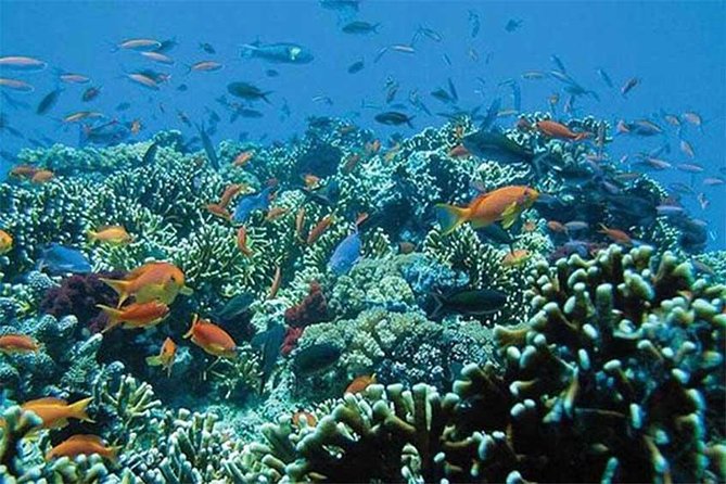 Tour Gate of Heaven at Lempuyang Temple - Blue Lagoon Snorkeling with lunch - Who should book this Lempuyang + Blue Lagoon combo?