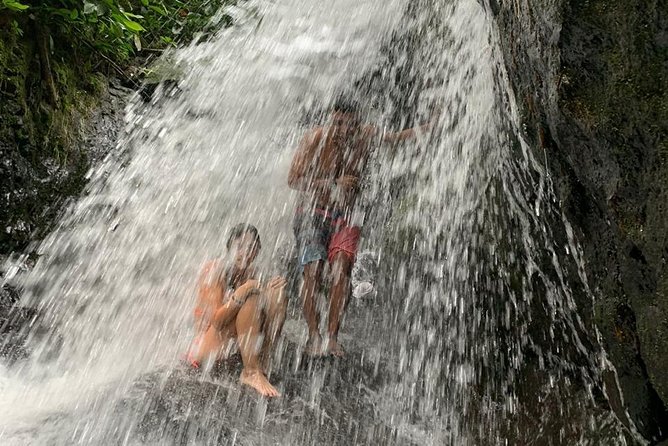 TOUR PACKAGE (jungle trekking, taxi, Room) 4 DAYS 3 NIGHTS in BUKIT LAWANG - The Guide Factor: English Help and Names You Might Hear