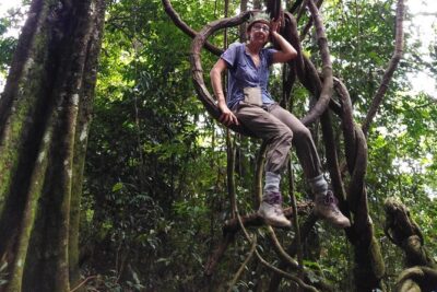 TOUR PACKAGE (Taxi, Room, Jungle Trekking) 3 Days in BUKIT LAWANG - Gunung Leuser Jungle Trek: Orangutans Plus Real Rainforest Encounters