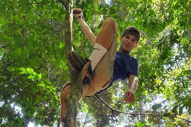 TOUR PACKAGE (Taxi, Room, Jungle Trekking) 3 Days in BUKIT LAWANG - Price and Value: What $271.18 Is Really Buying You