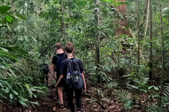 TOUR PACKAGE (Taxi, Room, Jungle Trekking) 3 Days in BUKIT LAWANG - Who This Trip Suits Best (And Who Might Want Something Else)