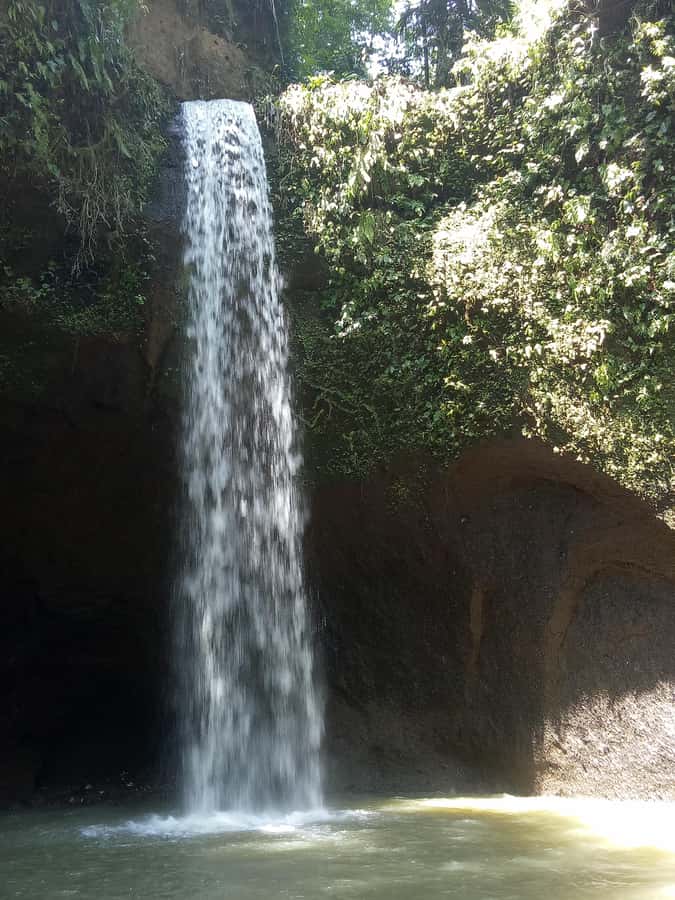 Tour the island of Bali with expert tour guides in Spanish. - Tibumana Waterfall: Quiet Rainforest Feel and a Swim Option
