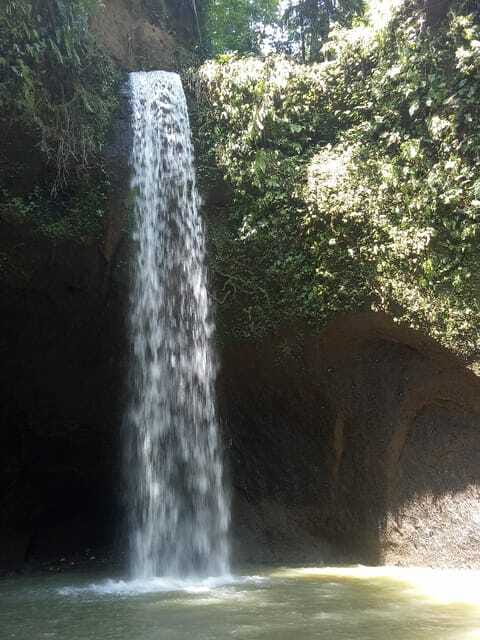 Tour the island of Bali with expert tour guides in Spanish. - Kehen Temple: The Big Ficus and the Peace for Meditation
